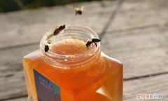 土蜂蜜可以放冰箱吗，蜂蜜可以放冰箱蜂蜜放冰箱里会变质